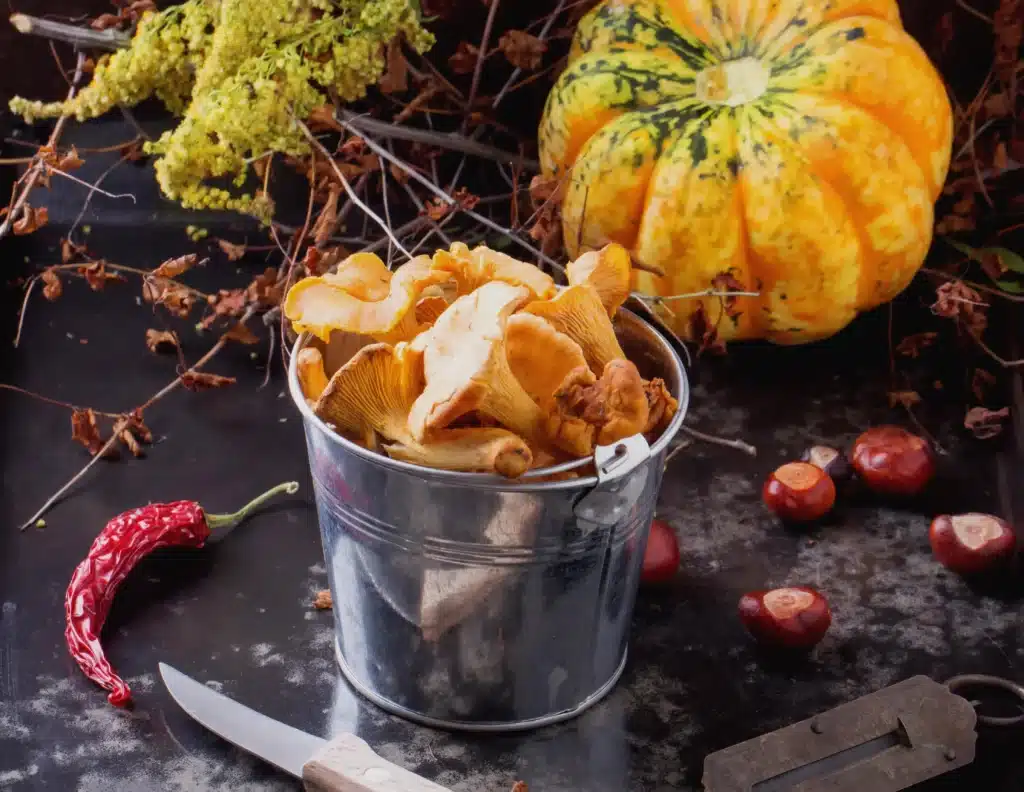 l’automne dans vos événements d’entreprise lyon